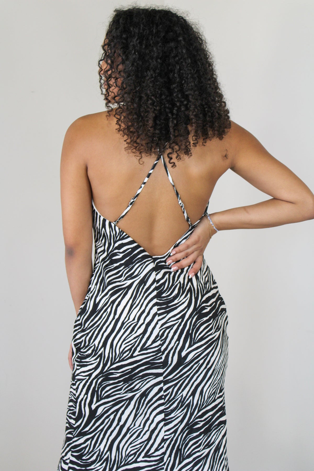 The Wild Side Zebra Print Midi Dress