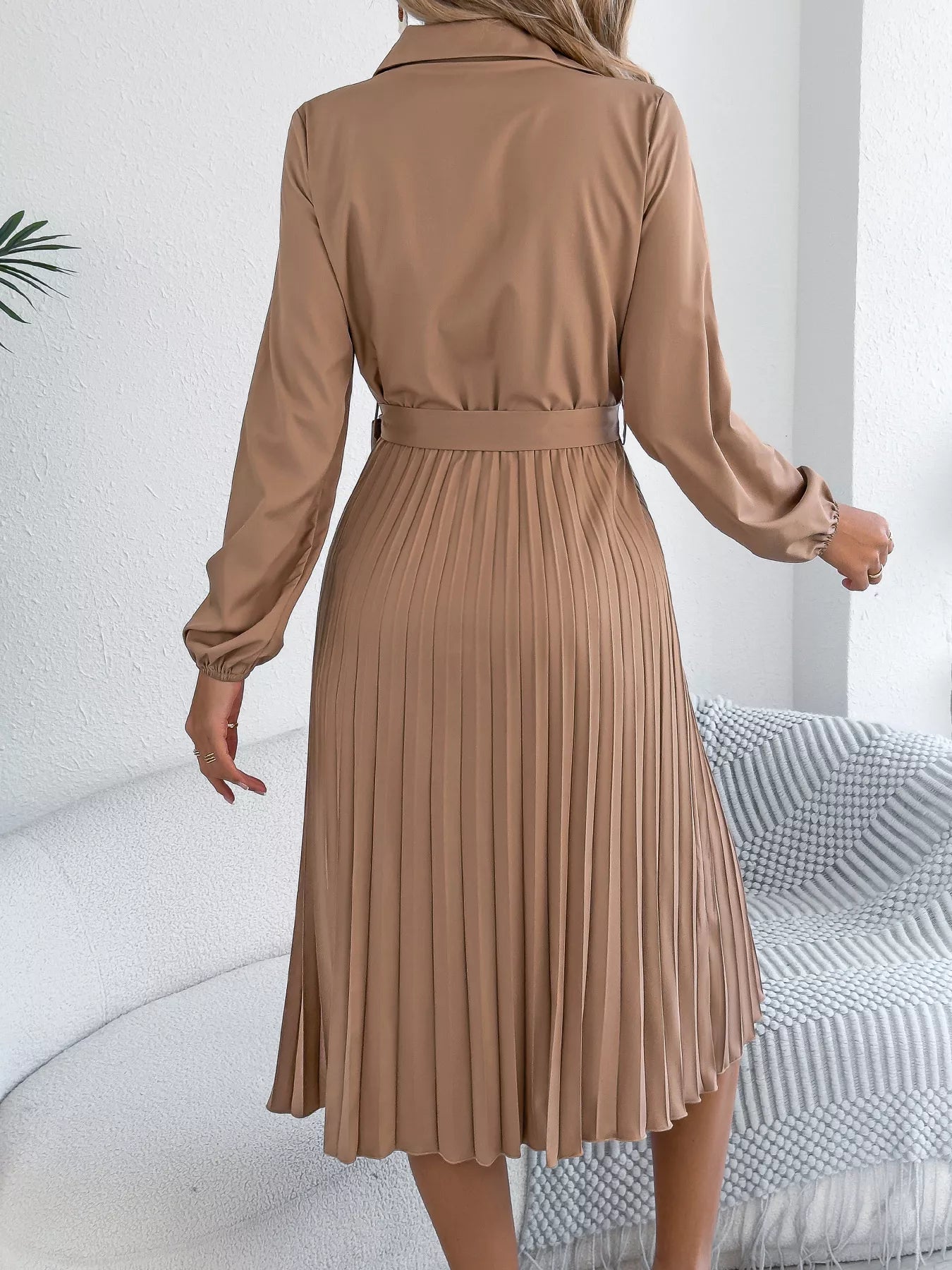 Pleated Tie Waist Balloon Sleeve Dress